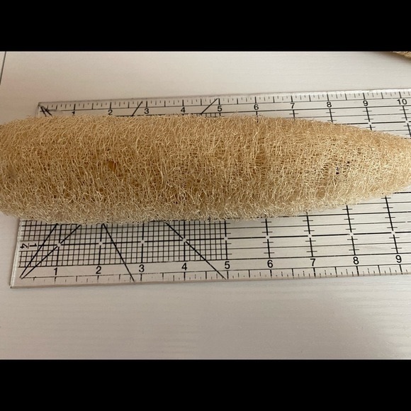 New crop! Loofah /Loofa natural sponges organically grown 9”-10” set of 4 - Picture 3 of 3